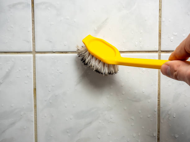 Best Professional Mold Removal  in South Fulton, TN